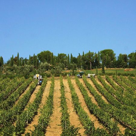 Agriturismo Isola Verde Cerreto Guidi Esterno foto